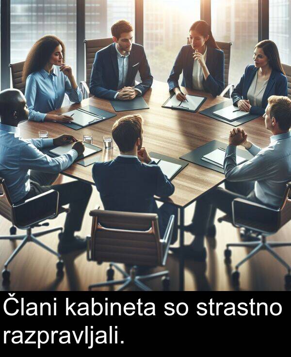 kabineta: Člani kabineta so strastno razpravljali.