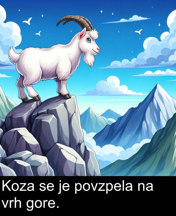 gore: Koza se je povzpela na vrh gore.