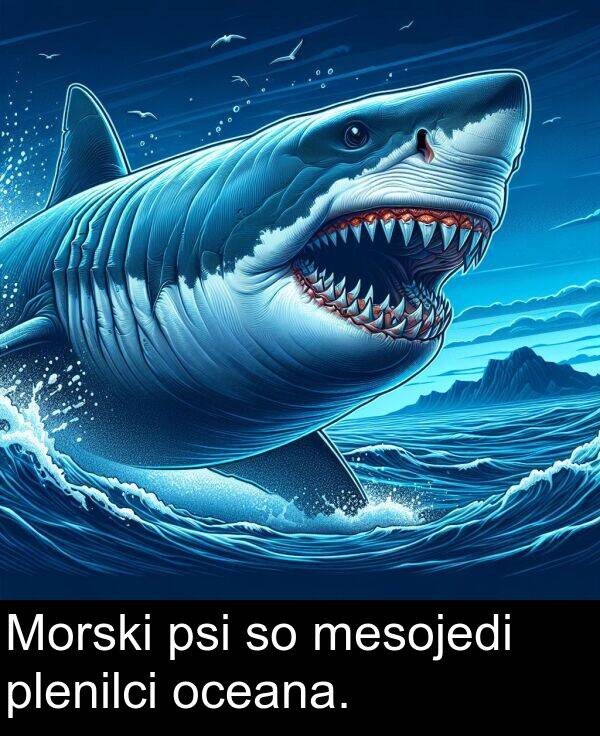 mesojedi: Morski psi so mesojedi plenilci oceana.