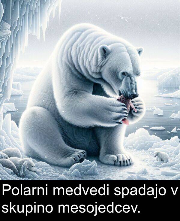 mesojedcev: Polarni medvedi spadajo v skupino mesojedcev.