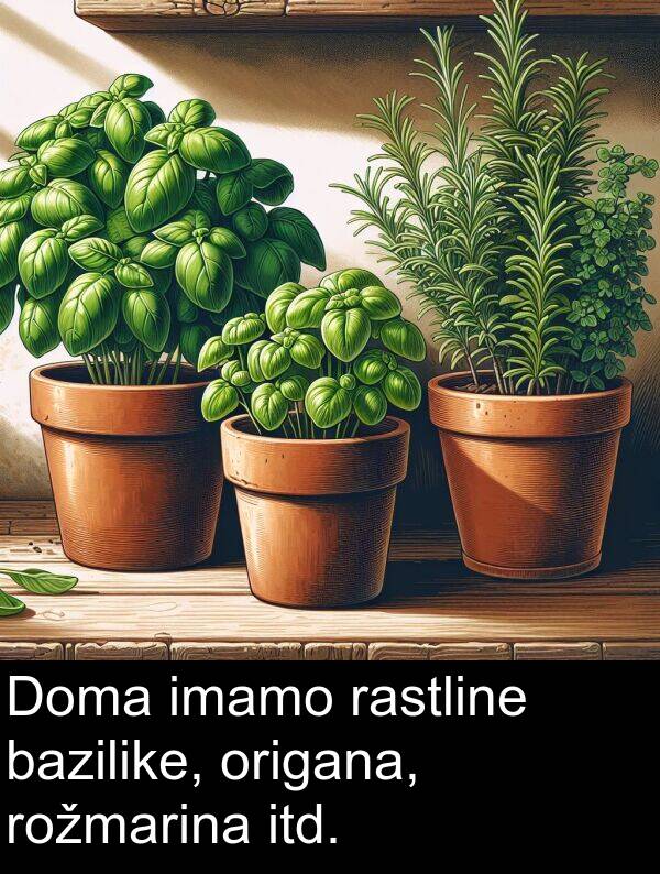 imamo: Doma imamo rastline bazilike, origana, rožmarina itd.