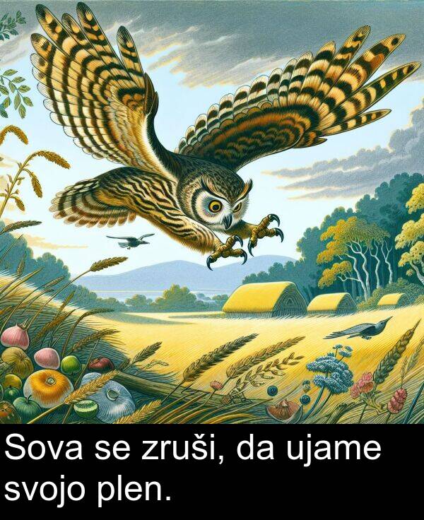 ujame: Sova se zruši, da ujame svojo plen.