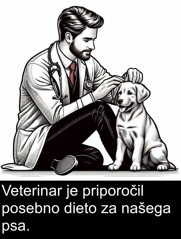 dieto: Veterinar je priporočil posebno dieto za našega psa.