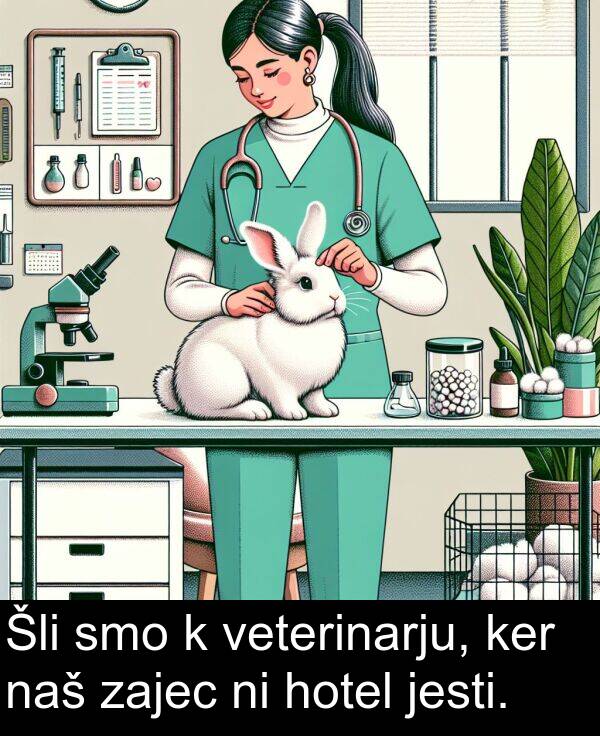 hotel: Šli smo k veterinarju, ker naš zajec ni hotel jesti.