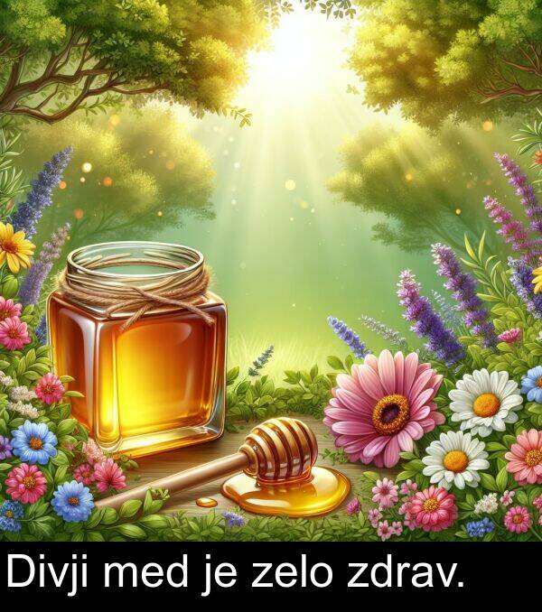 med: Divji med je zelo zdrav.