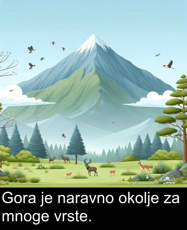 naravno: Gora je naravno okolje za mnoge vrste.