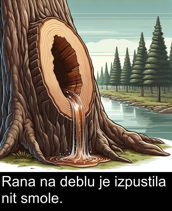 deblu: Rana na deblu je izpustila nit smole.