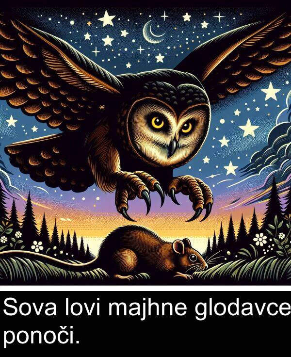 majhne: Sova lovi majhne glodavce ponoči.