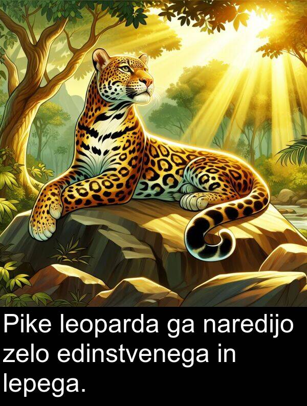 edinstvenega: Pike leoparda ga naredijo zelo edinstvenega in lepega.