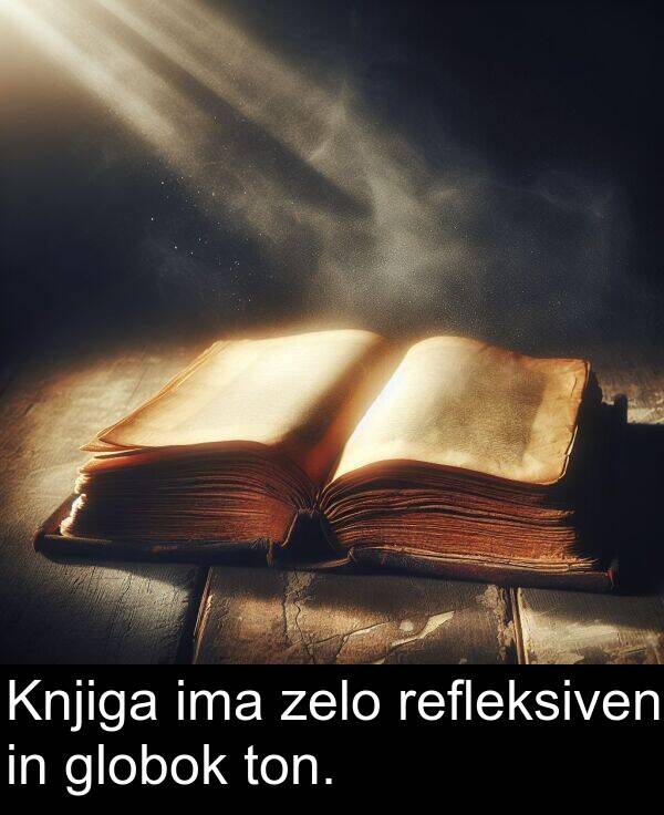 ima: Knjiga ima zelo refleksiven in globok ton.