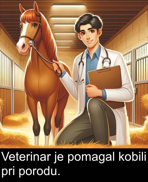 porodu: Veterinar je pomagal kobili pri porodu.