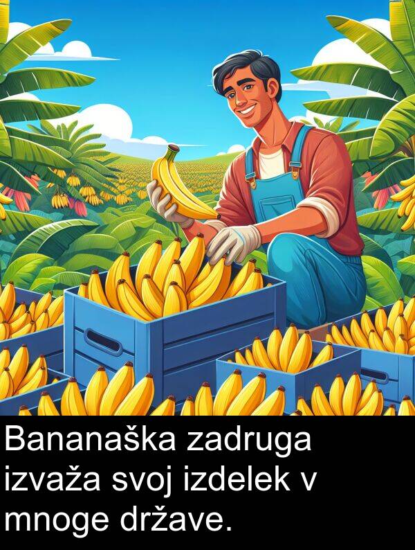 svoj: Bananaška zadruga izvaža svoj izdelek v mnoge države.