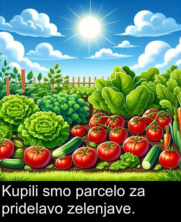 pridelavo: Kupili smo parcelo za pridelavo zelenjave.