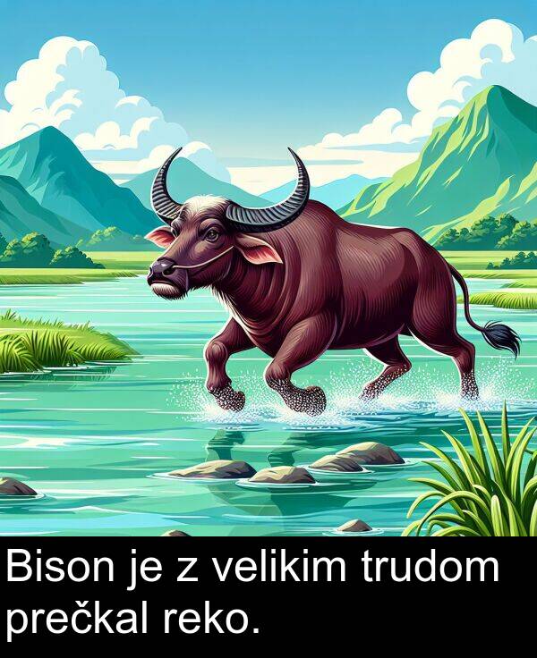 velikim: Bison je z velikim trudom prečkal reko.