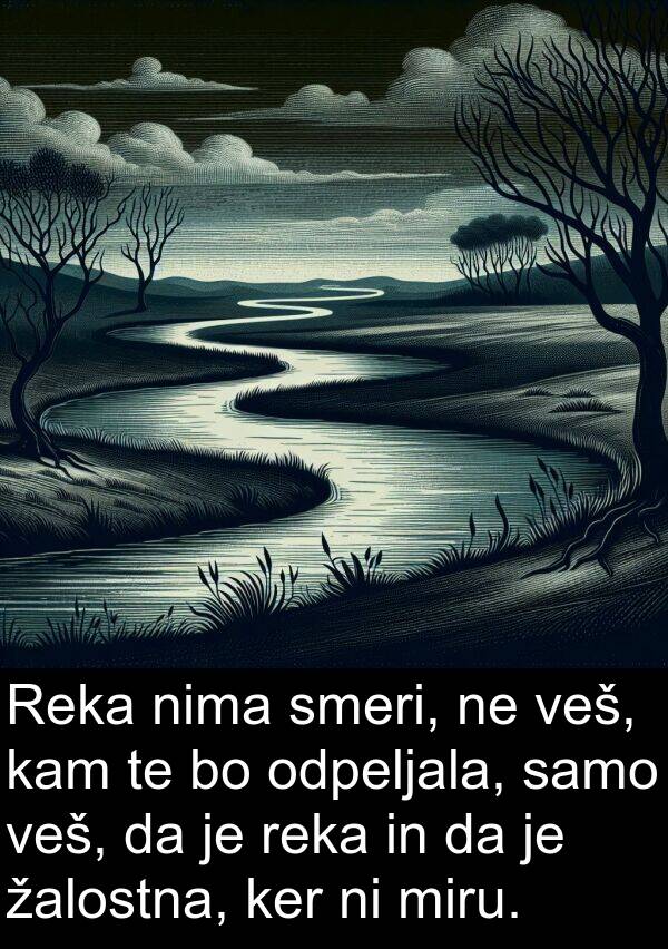 samo: Reka nima smeri, ne veš, kam te bo odpeljala, samo veš, da je reka in da je žalostna, ker ni miru.