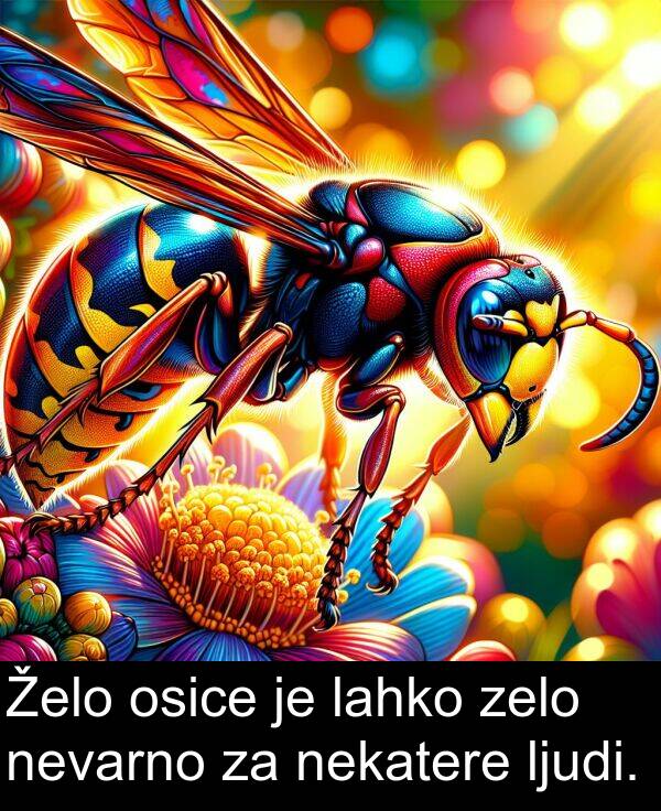 lahko: Želo osice je lahko zelo nevarno za nekatere ljudi.