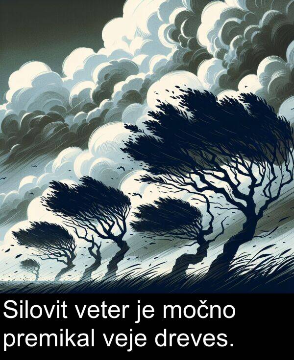 veje: Silovit veter je močno premikal veje dreves.