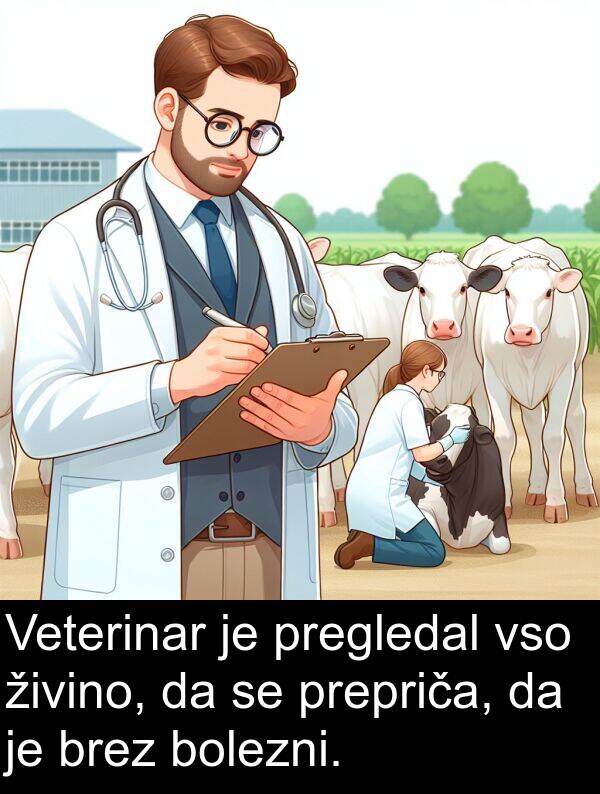 živino: Veterinar je pregledal vso živino, da se prepriča, da je brez bolezni.