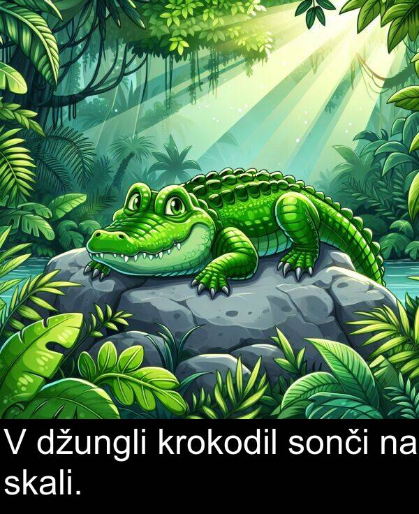 sonči: V džungli krokodil sonči na skali.