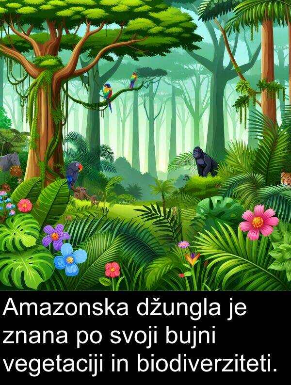 svoji: Amazonska džungla je znana po svoji bujni vegetaciji in biodiverziteti.