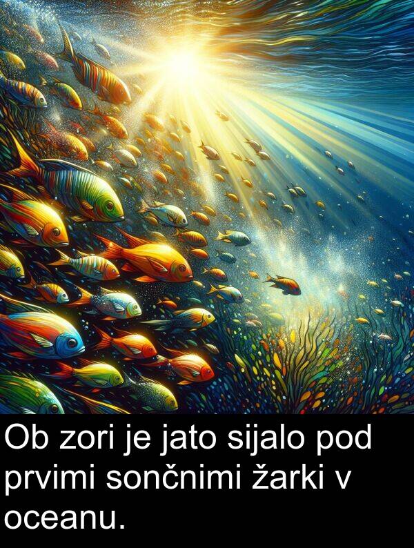 jato: Ob zori je jato sijalo pod prvimi sončnimi žarki v oceanu.