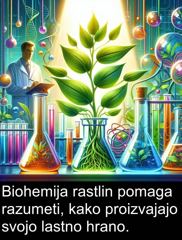 kako: Biohemija rastlin pomaga razumeti, kako proizvajajo svojo lastno hrano.