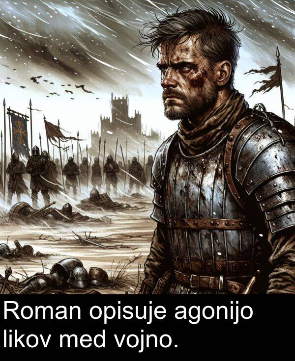 agonijo: Roman opisuje agonijo likov med vojno.