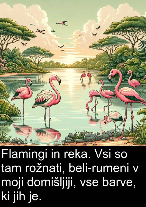 tam: Flamingi in reka. Vsi so tam rožnati, beli-rumeni v moji domišljiji, vse barve, ki jih je.