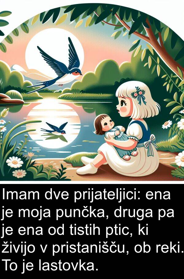 živijo: Imam dve prijateljici: ena je moja punčka, druga pa je ena od tistih ptic, ki živijo v pristanišču, ob reki. To je lastovka.