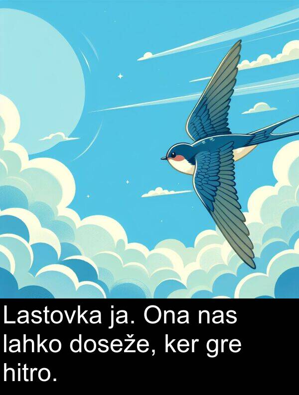 lahko: Lastovka ja. Ona nas lahko doseže, ker gre hitro.