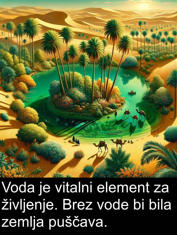 element: Voda je vitalni element za življenje. Brez vode bi bila zemlja puščava.