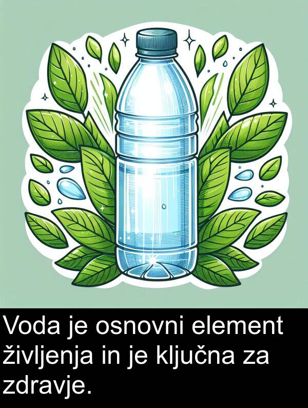 element: Voda je osnovni element življenja in je ključna za zdravje.