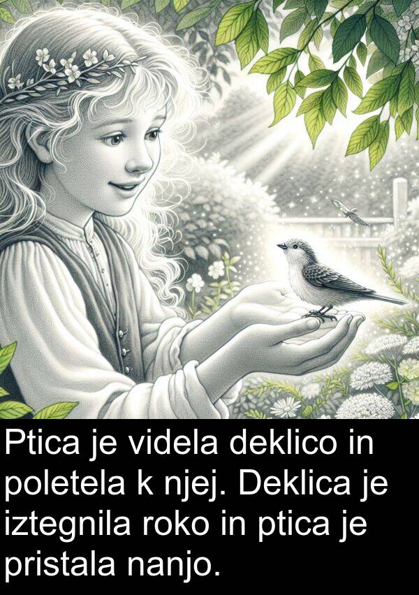 deklico: Ptica je videla deklico in poletela k njej. Deklica je iztegnila roko in ptica je pristala nanjo.