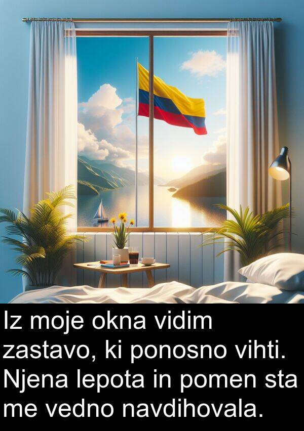 lepota: Iz moje okna vidim zastavo, ki ponosno vihti. Njena lepota in pomen sta me vedno navdihovala.