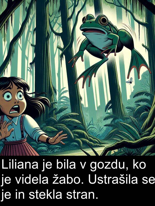 gozdu: Liliana je bila v gozdu, ko je videla žabo. Ustrašila se je in stekla stran.