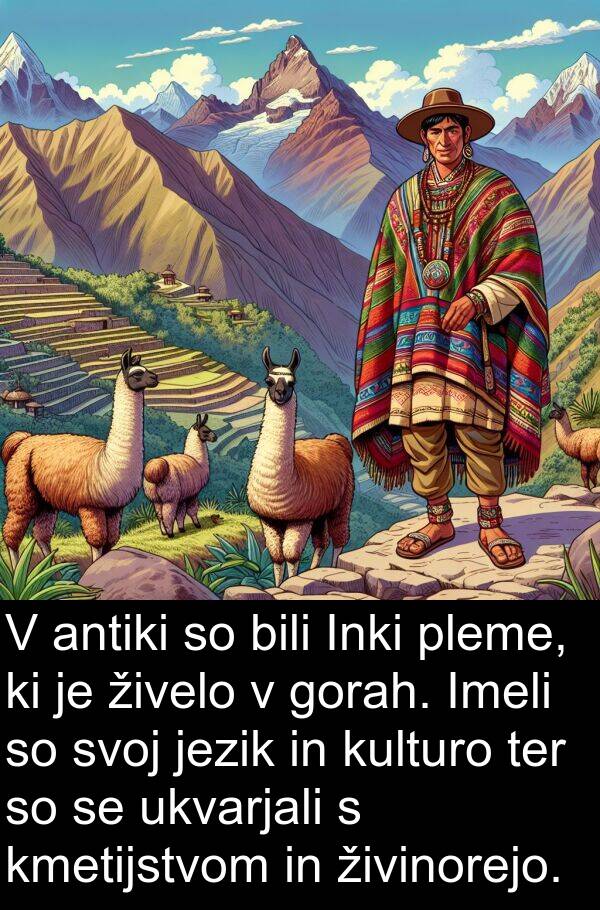 antiki: V antiki so bili Inki pleme, ki je živelo v gorah. Imeli so svoj jezik in kulturo ter so se ukvarjali s kmetijstvom in živinorejo.