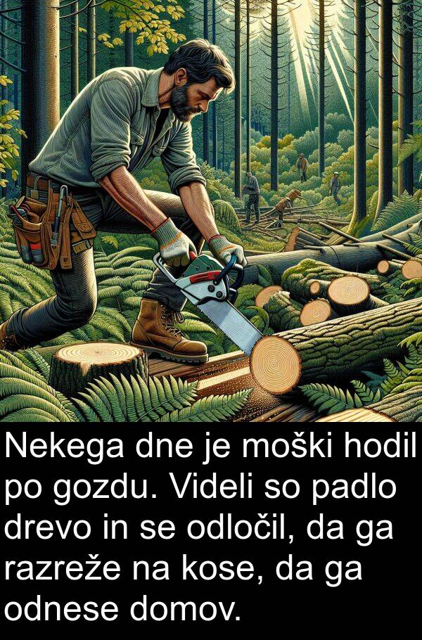 gozdu: Nekega dne je moški hodil po gozdu. Videli so padlo drevo in se odločil, da ga razreže na kose, da ga odnese domov.