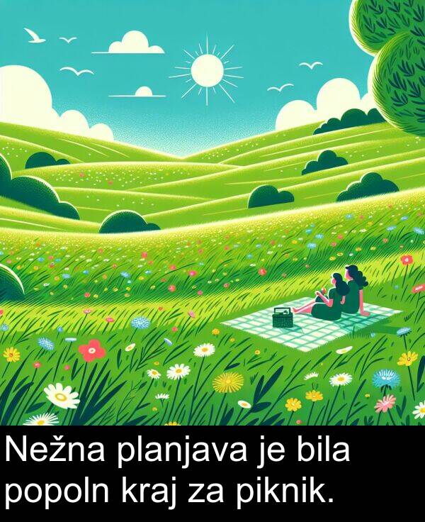 piknik: Nežna planjava je bila popoln kraj za piknik.