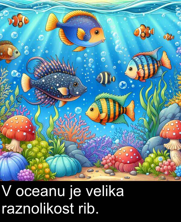 velika: V oceanu je velika raznolikost rib.