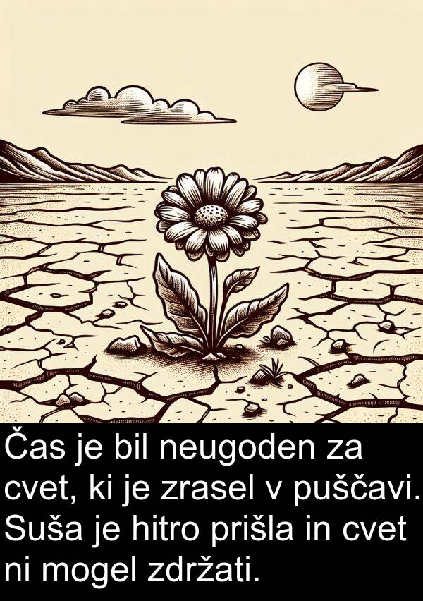 hitro: Čas je bil neugoden za cvet, ki je zrasel v puščavi. Suša je hitro prišla in cvet ni mogel zdržati.