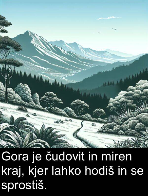 hodiš: Gora je čudovit in miren kraj, kjer lahko hodiš in se sprostiš.