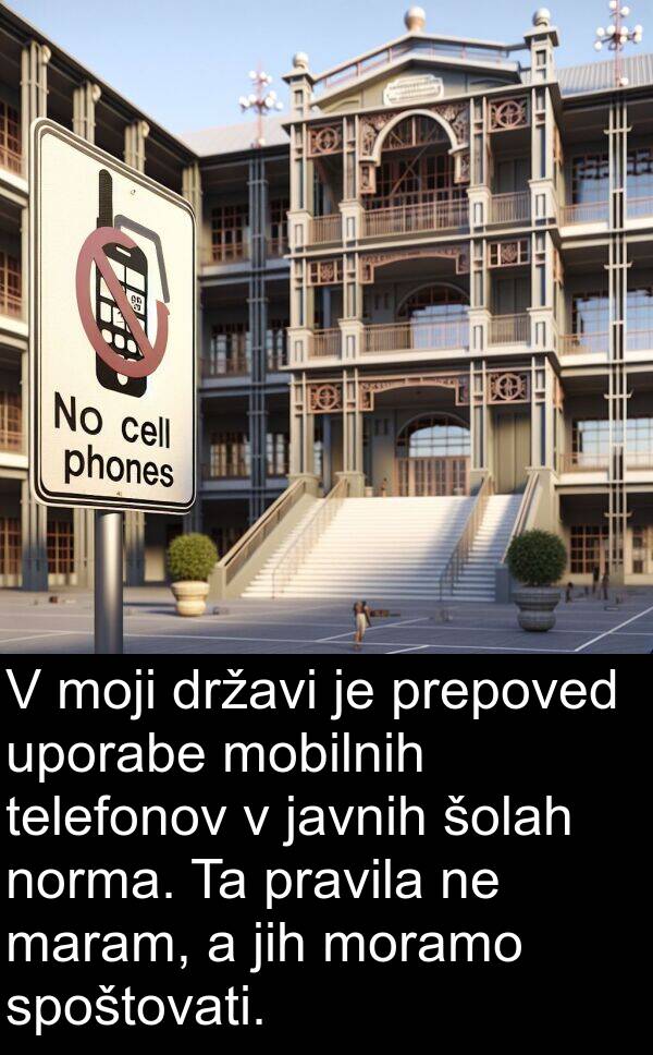 javnih: V moji državi je prepoved uporabe mobilnih telefonov v javnih šolah norma. Ta pravila ne maram, a jih moramo spoštovati.