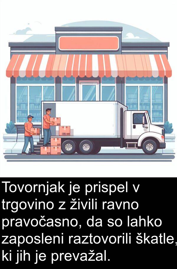 ravno: Tovornjak je prispel v trgovino z živili ravno pravočasno, da so lahko zaposleni raztovorili škatle, ki jih je prevažal.