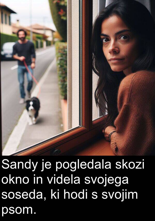 svojim: Sandy je pogledala skozi okno in videla svojega soseda, ki hodi s svojim psom.