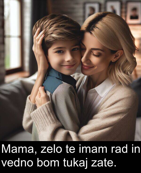 imam: Mama, zelo te imam rad in vedno bom tukaj zate.