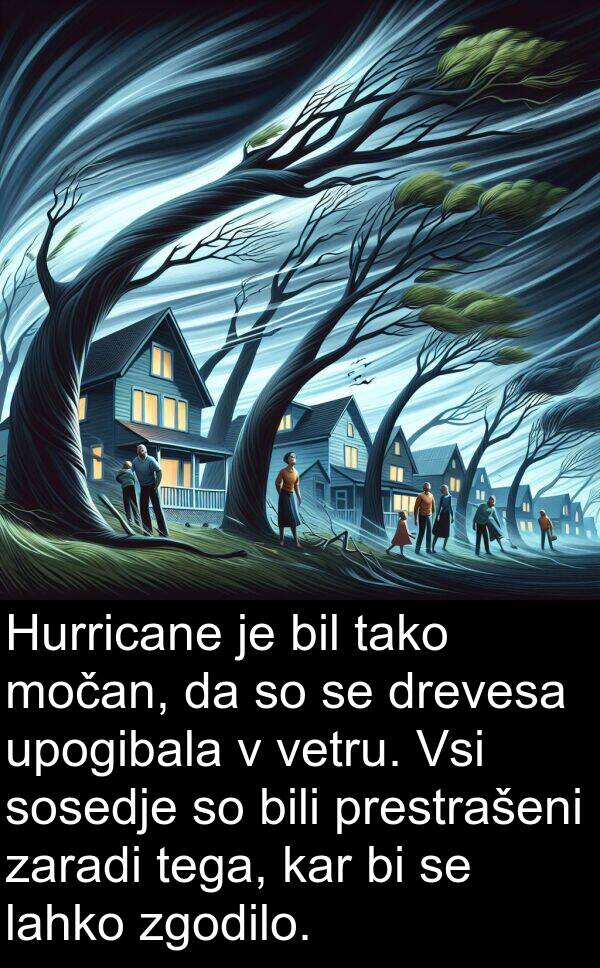 vetru: Hurricane je bil tako močan, da so se drevesa upogibala v vetru. Vsi sosedje so bili prestrašeni zaradi tega, kar bi se lahko zgodilo.