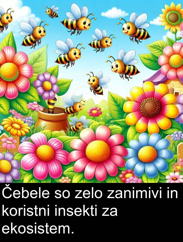 ekosistem: Čebele so zelo zanimivi in koristni insekti za ekosistem.