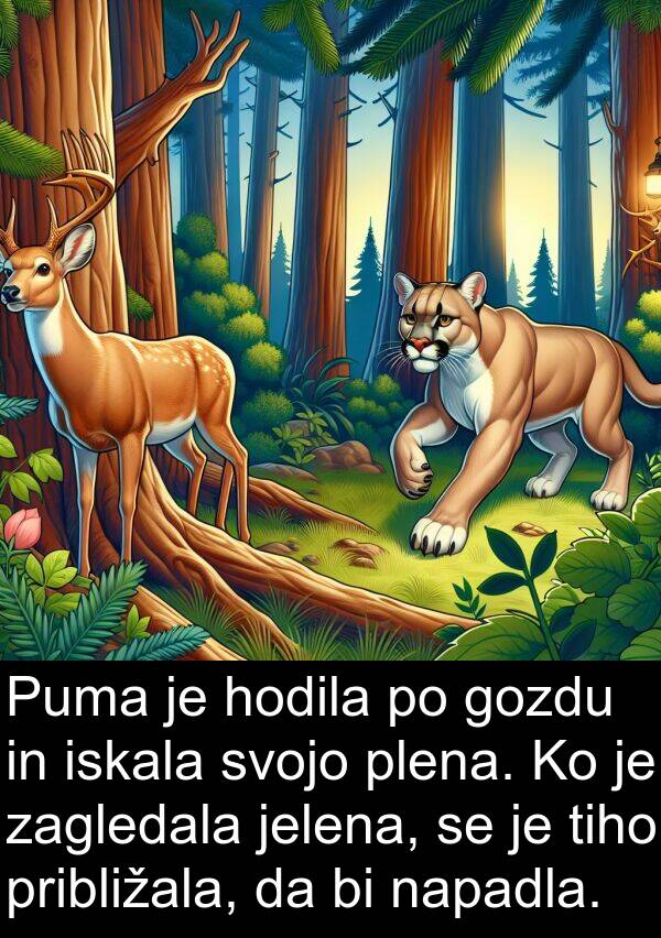 iskala: Puma je hodila po gozdu in iskala svojo plena. Ko je zagledala jelena, se je tiho približala, da bi napadla.