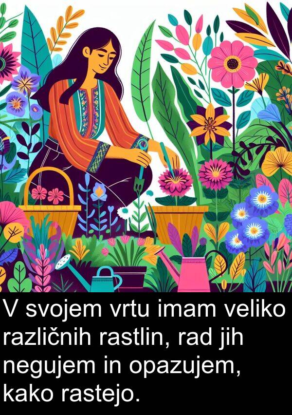 imam: V svojem vrtu imam veliko različnih rastlin, rad jih negujem in opazujem, kako rastejo.