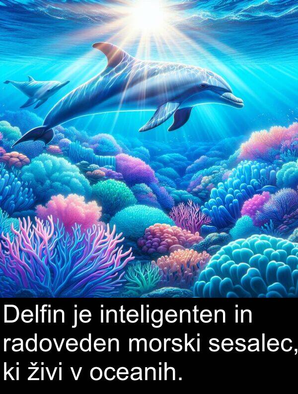 radoveden: Delfin je inteligenten in radoveden morski sesalec, ki živi v oceanih.